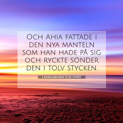 Picture 07 - 1 Kungaboken 11:30 SV1917 - Och Ahia fattade i den nya manteln som han hade - Bible Verse Picture