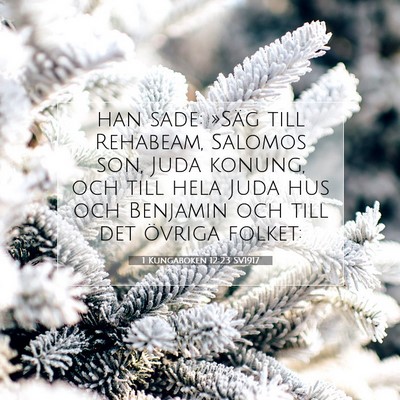 Picture 07 - 1 Kungaboken 12:23 SV1917 - han sade: »Säg till Rehabeam, Salomos son, Juda - Bible Verse Picture