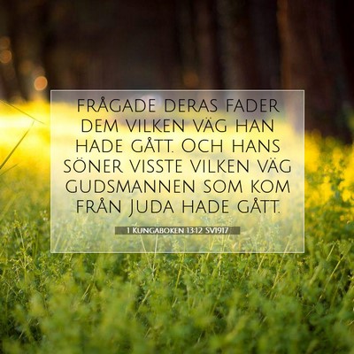 Picture 07 - 1 Kungaboken 13:12 SV1917 - frågade deras fader dem vilken väg han hade - Bible Verse Picture