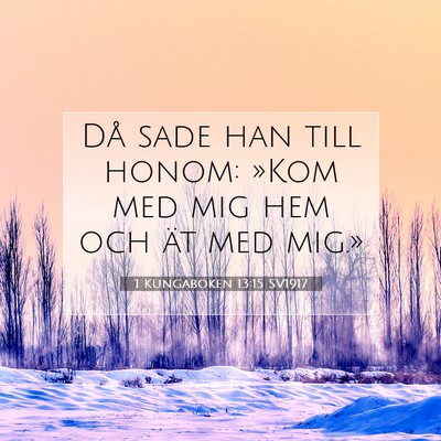 Picture 07 - 1 Kungaboken 13:15 SV1917 - Då sade han till honom: »Kom med mig hem och - Bible Verse Picture