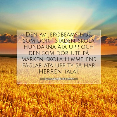 Picture 07 - 1 Kungaboken 14:11 SV1917 - Den av Jerobeams hus, som dör i staden, skola - Bible Verse Picture