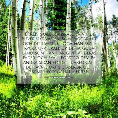 Picture 07 - 1 Kungaboken 14:15 SV1917 - HERREN skall slå Israel, så att det bliver likt - Bible Verse Picture