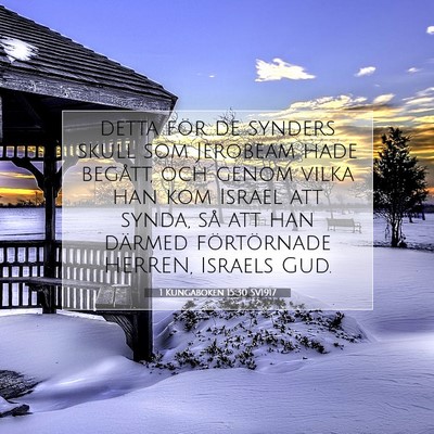 Picture 07 - 1 Kungaboken 15:30 SV1917 - detta för de synders skull som Jerobeam hade - Bible Verse Picture