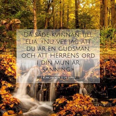 Picture 07 - 1 Kungaboken 17:24 SV1917 - Då sade kvinnan till Elia: »Nu vet jag att du - Bible Verse Picture
