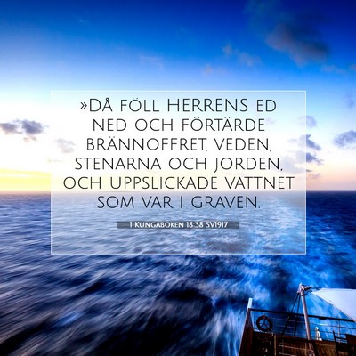 Picture 07 - 1 Kungaboken 18:38 SV1917 - »Då föll HERRENS ed ned och förtärde - Bible Verse Picture