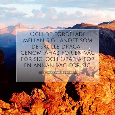 Picture 07 - 1 Kungaboken 18:6 SV1917 - Och de fördelade mellan sig landet som de skulle - Bible Verse Picture
