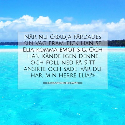 Picture 07 - 1 Kungaboken 18:7 SV1917 - När nu Obadja färdades sin väg fram, fick han - Bible Verse Picture
