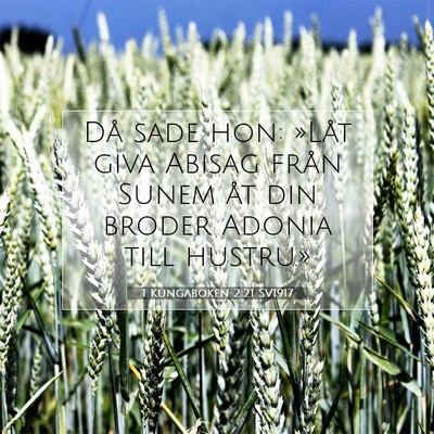 Picture 07 - 1 Kungaboken 2:21 SV1917 - Då sade hon: »Låt giva Abisag från Sunem åt - Bible Verse Picture