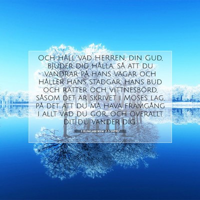 Picture 07 - 1 Kungaboken 2:3 SV1917 - Och håll vad HERREN, din Gud, bjuder dig hålla, - Bible Verse Picture