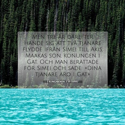 Picture 07 - 1 Kungaboken 2:39 SV1917 - Men tre år därefter hände sig att två - Bible Verse Picture