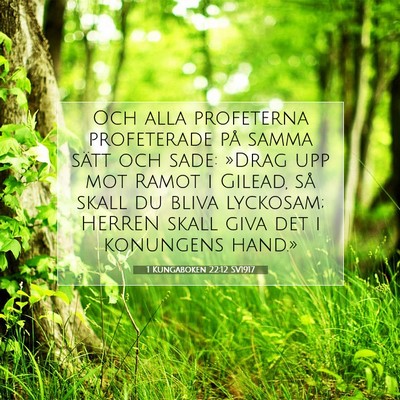 Picture 07 - 1 Kungaboken 22:12 SV1917 - Och alla profeterna profeterade på samma sätt - Bible Verse Picture