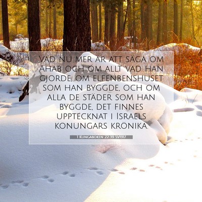 Picture 07 - 1 Kungaboken 22:39 SV1917 - Vad nu mer är att säga om Ahab och om allt vad - Bible Verse Picture