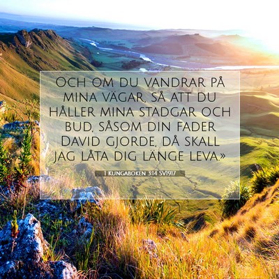 Picture 07 - 1 Kungaboken 3:14 SV1917 - Och om du vandrar på mina vägar, så att du - Bible Verse Picture