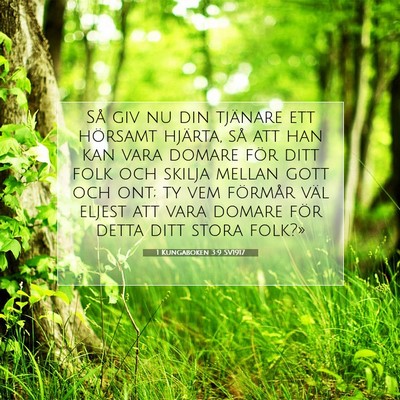 Picture 07 - 1 Kungaboken 3:9 SV1917 - Så giv nu din tjänare ett hörsamt hjärta, så - Bible Verse Picture