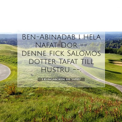 Picture 07 - 1 Kungaboken 4:11 SV1917 - Ben-Abinadab i hela Nafat-Dor -- denne fick - Bible Verse Picture