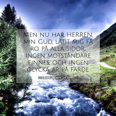 Picture 07 - 1 Kungaboken 5:4 SV1917 - Men nu har HERREN, min Gud, låtit mig få ro på - Bible Verse Picture