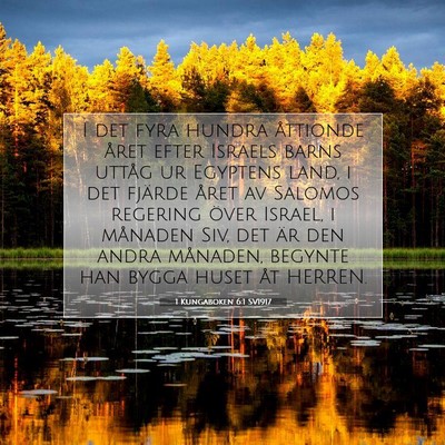 Picture 07 - 1 Kungaboken 6:1 SV1917 - I det fyra hundra åttionde året efter Israels - Bible Verse Picture