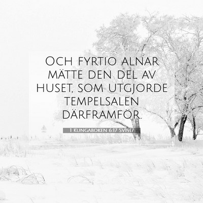Picture 07 - 1 Kungaboken 6:17 SV1917 - Och fyrtio alnar mätte den del av huset, som - Bible Verse Picture