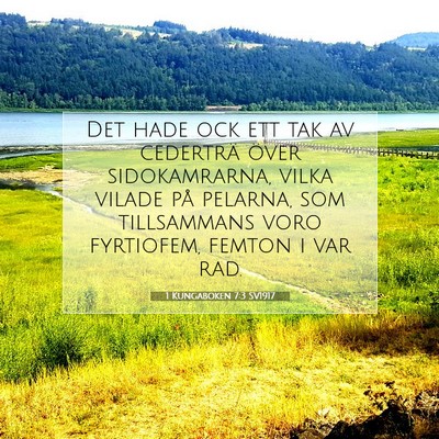 Picture 07 - 1 Kungaboken 7:3 SV1917 - Det hade ock ett tak av cederträ över - Bible Verse Picture