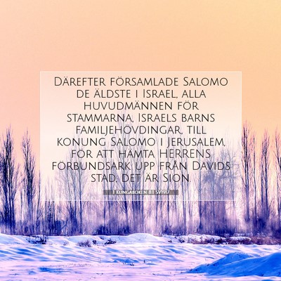 Picture 07 - 1 Kungaboken 8:1 SV1917 - Därefter församlade Salomo de äldste i Israel, - Bible Verse Picture