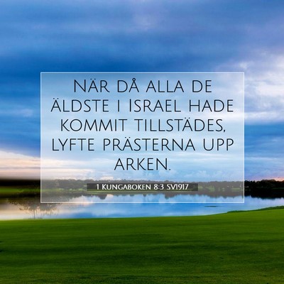 Picture 07 - 1 Kungaboken 8:3 SV1917 - När då alla de äldste i Israel hade kommit - Bible Verse Picture