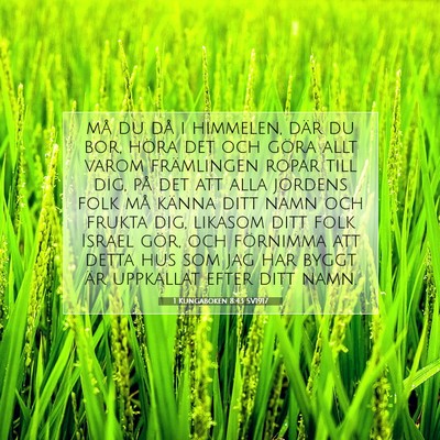 Picture 07 - 1 Kungaboken 8:43 SV1917 - må du då i himmelen, där du bor, höra det och - Bible Verse Picture