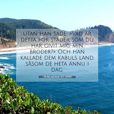 Picture 07 - 1 Kungaboken 9:13 SV1917 - utan han sade: »Vad är detta för städer som - Bible Verse Picture