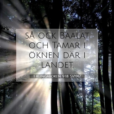 Picture 07 - 1 Kungaboken 9:18 SV1917 - så ock Baalat och Tamar i öknen där i - Bible Verse Picture