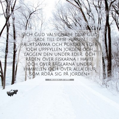 Picture 07 - 1 Mosebok 1:28 SV1917 - Och Gud välsignade dem; Gud sade till dem: - Bible Verse Picture