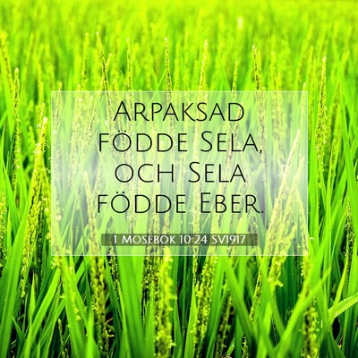 Picture 07 - 1 Mosebok 10:24 SV1917 - Arpaksad födde Sela, och Sela födde - Bible Verse Picture
