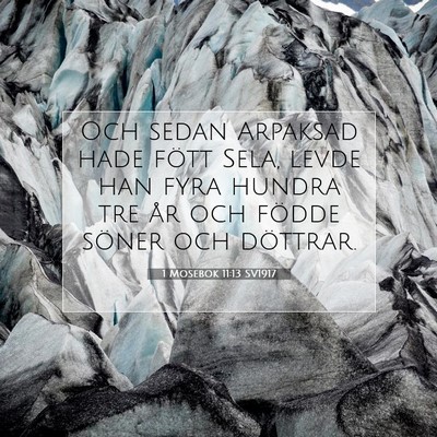 Picture 07 - 1 Mosebok 11:13 SV1917 - Och sedan Arpaksad hade fött Sela, levde han - Bible Verse Picture