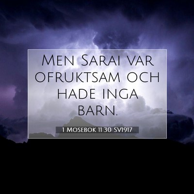 Picture 07 - 1 Mosebok 11:30 SV1917 - Men Sarai var ofruktsam och hade inga - Bible Verse Picture
