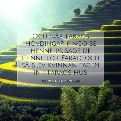 Picture 07 - 1 Mosebok 12:15 SV1917 - Och när Faraos hövdingar fingo se henne, - Bible Verse Picture