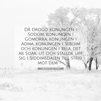 Picture 07 - 1 Mosebok 14:8 SV1917 - Då drogo konungen i Sodom, konungen i Gomorra, - Bible Verse Picture