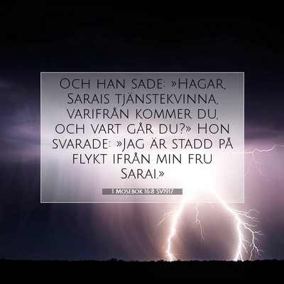 Picture 07 - 1 Mosebok 16:8 SV1917 - Och han sade: »Hagar, Sarais tjänstekvinna, - Bible Verse Picture