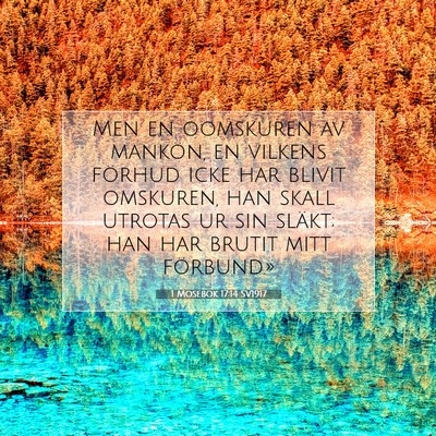Picture 07 - 1 Mosebok 17:14 SV1917 - Men en oomskuren av mankön, en vilkens förhud - Bible Verse Picture
