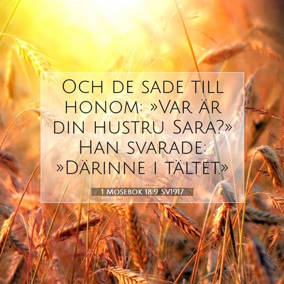 Picture 07 - 1 Mosebok 18:9 SV1917 - Och de sade till honom: »Var är din hustru - Bible Verse Picture