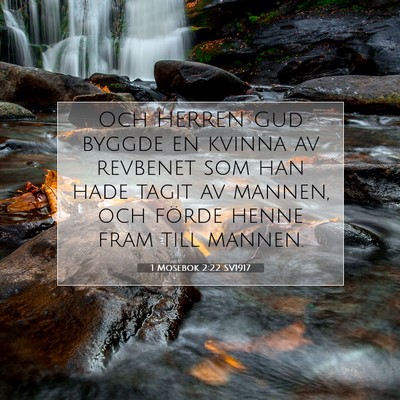 Picture 07 - 1 Mosebok 2:22 SV1917 - Och HERREN Gud byggde en kvinna av revbenet som - Bible Verse Picture