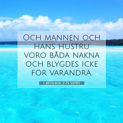 Picture 07 - 1 Mosebok 2:25 SV1917 - Och mannen och hans hustru voro båda nakna och - Bible Verse Picture