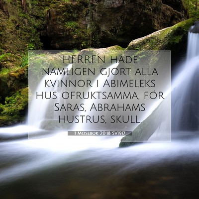 Picture 07 - 1 Mosebok 20:18 SV1917 - HERREN hade nämligen gjort alla kvinnor i - Bible Verse Picture