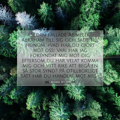 Picture 07 - 1 Mosebok 20:9 SV1917 - Sedan kallade Abimelek Abraham till sig och sade - Bible Verse Picture