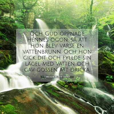Picture 07 - 1 Mosebok 21:19 SV1917 - Och Gud öppnade hennes ögon, så att hon blev - Bible Verse Picture