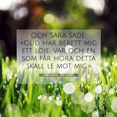 Picture 07 - 1 Mosebok 21:6 SV1917 - Och Sara sade: »Gud har berett mig ett löje; - Bible Verse Picture