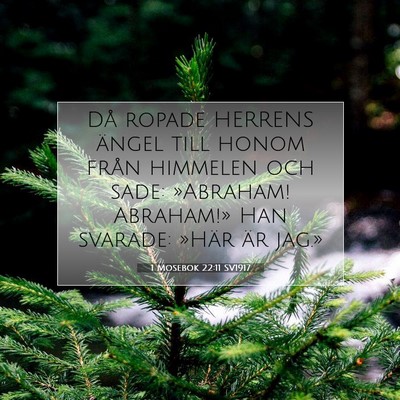 Picture 07 - 1 Mosebok 22:11 SV1917 - Då ropade HERRENS ängel till honom från - Bible Verse Picture