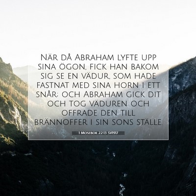 Picture 07 - 1 Mosebok 22:13 SV1917 - När då Abraham lyfte upp sina ögon, fick han - Bible Verse Picture