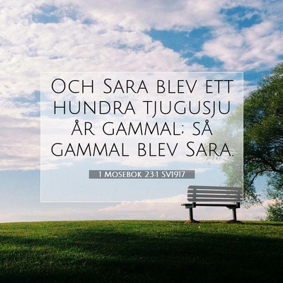 Picture 07 - 1 Mosebok 23:1 SV1917 - Och Sara blev ett hundra tjugusju år gammal; så - Bible Verse Picture