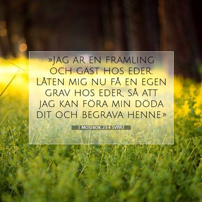 Picture 07 - 1 Mosebok 23:4 SV1917 - »Jag är en främling och gäst hos eder. Låten - Bible Verse Picture