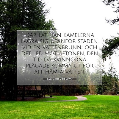 Picture 07 - 1 Mosebok 24:11 SV1917 - Där lät han kamelerna lägra sig utanför - Bible Verse Picture