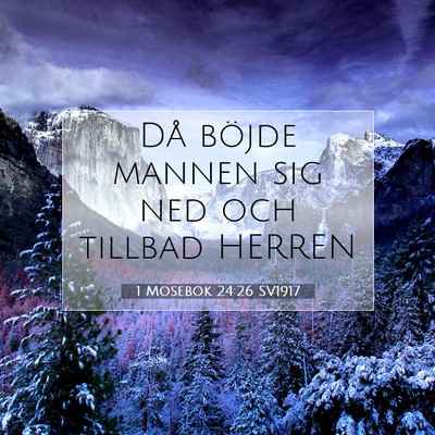 Picture 07 - 1 Mosebok 24:26 SV1917 - Då böjde mannen sig ned och tillbad - Bible Verse Picture