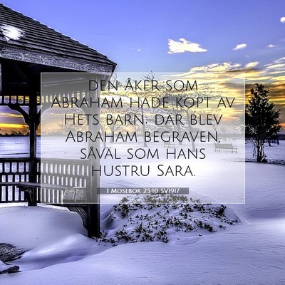 Picture 07 - 1 Mosebok 25:10 SV1917 - den åker som Abraham hade köpt av Hets barn; - Bible Verse Picture